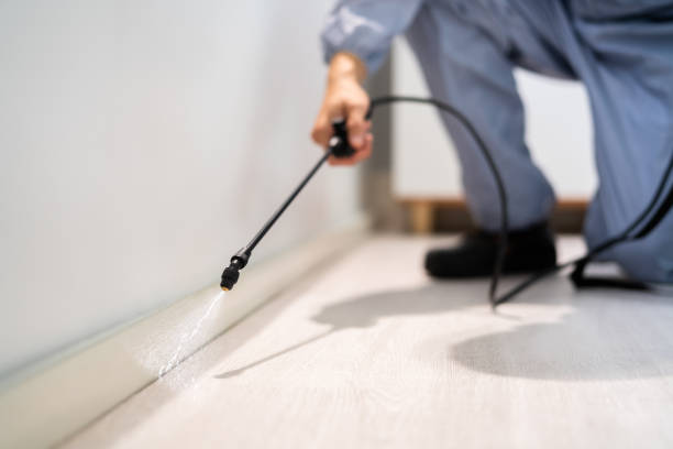 Bed Bug Pre-Treatment Preparation Assessment in Brownstown