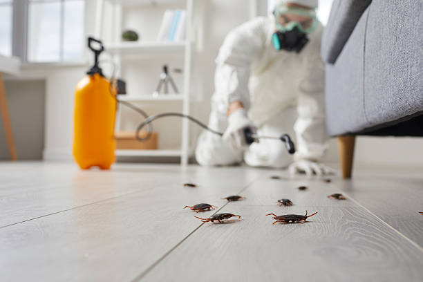 Post-Treatment Bed Bug Interceptor Monitoring in Brownstown