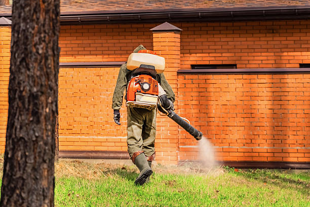 Bed Bug Clearance Verification and Documentation in Brownstown